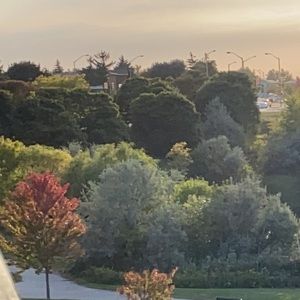 Meet your Posher, Marjorie